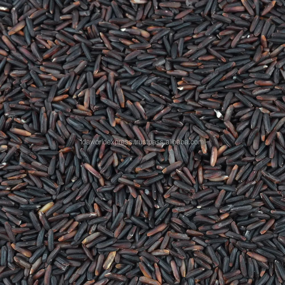 
Thai Rice Berry a healthy dark purple grains that are very beneficial for the body. Thai jasmine rice. 