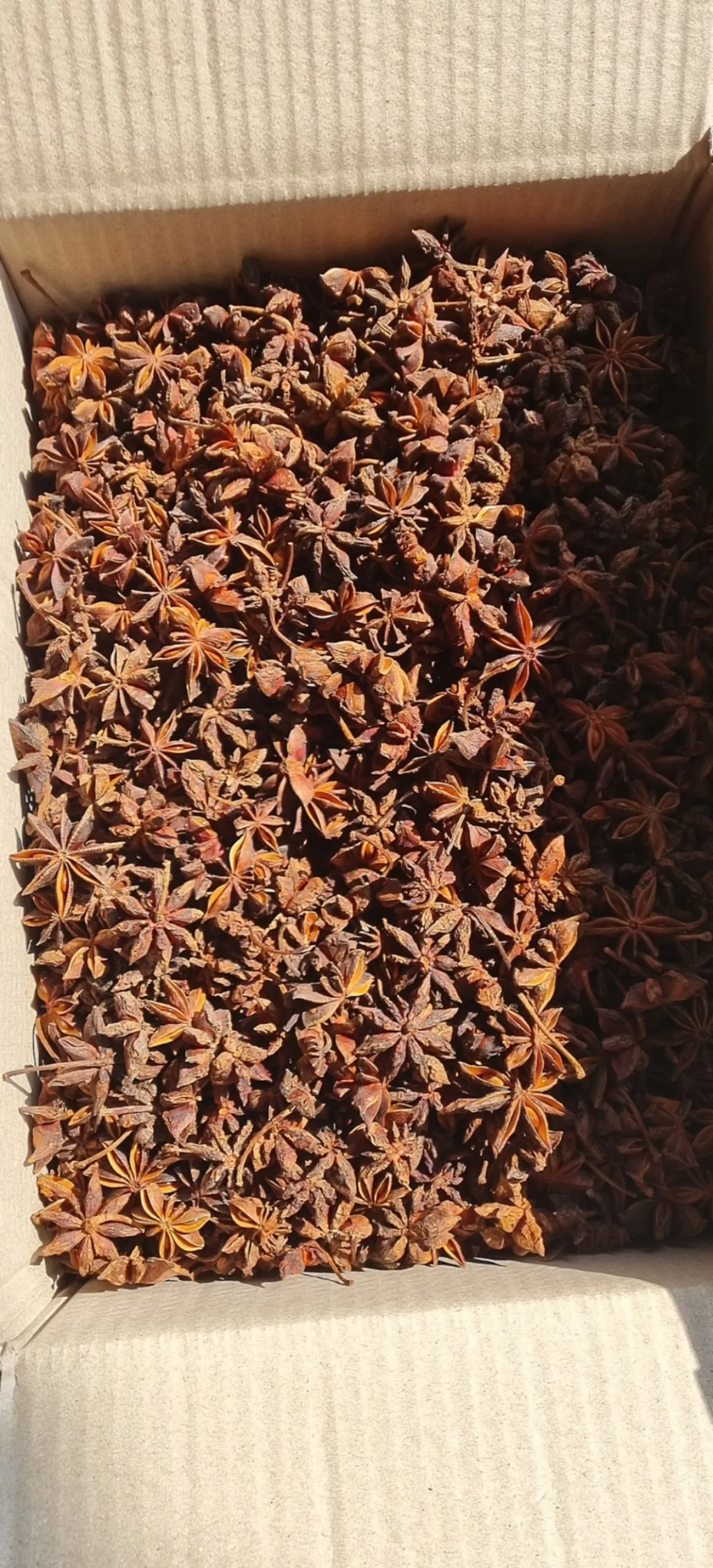 Star anise standard type/ Star Anise Spring crop in Vietnam natural color single original
