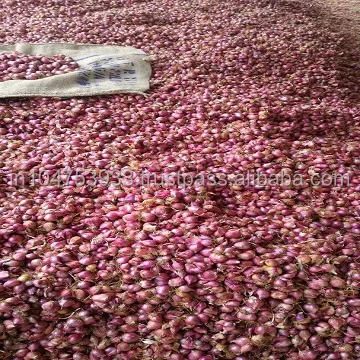 Indian Exports for onion from Arputham exports Podisu onion