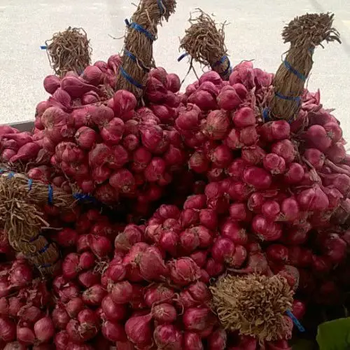  Новый Урожай шалотов лук размер 30 - 50 мм круглый из Вьетнама-МС Софи + 84 901 022 641