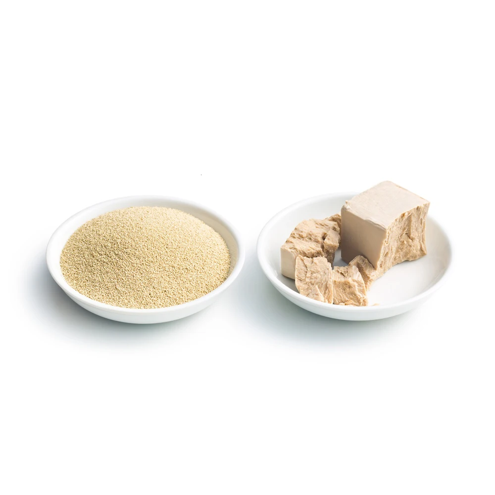 Competitive price low sugar Instant active dry yeast