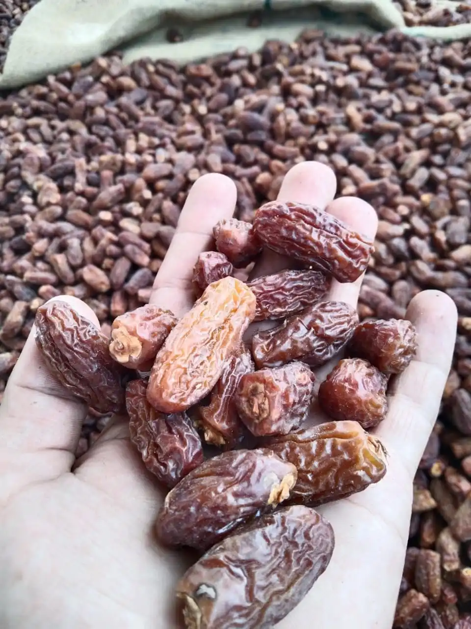 PAKISTANI BROWN DRIED DATES FRESH CROP OF 2021-22 PREMIUM QUALITY SMALL SIZE RANGKAAT YELLOW CHUWARA CHUARA