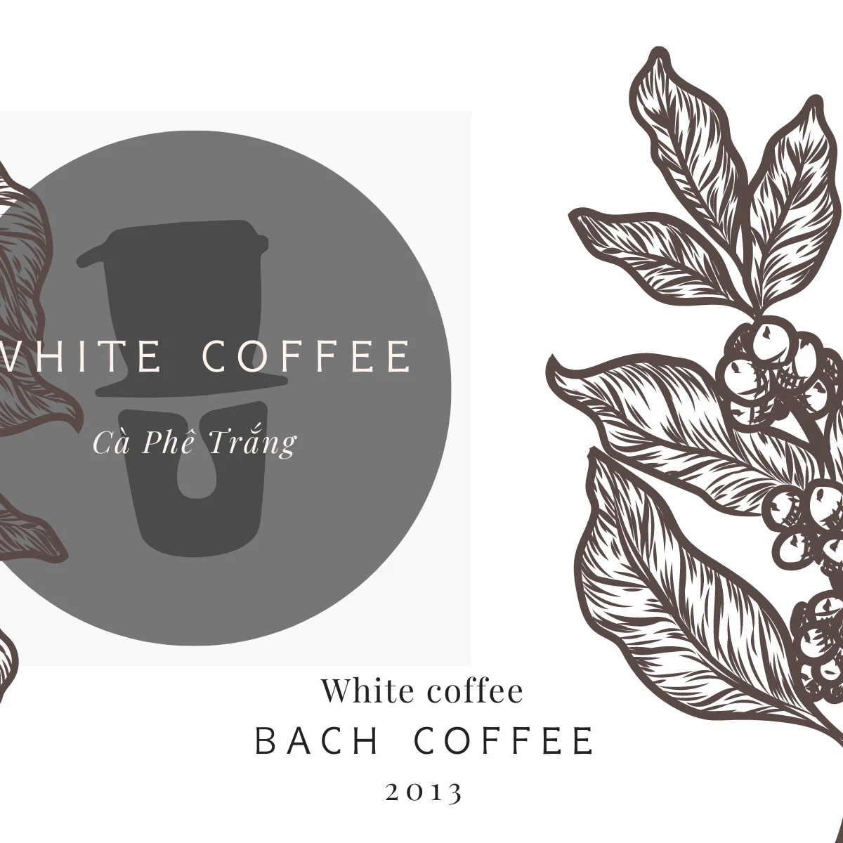 White Coffee Ground Coffee / Special Grind  / 100% Arabica Coffee Grow in Da Lat , Viet Nam / OEM / Direct  Trade