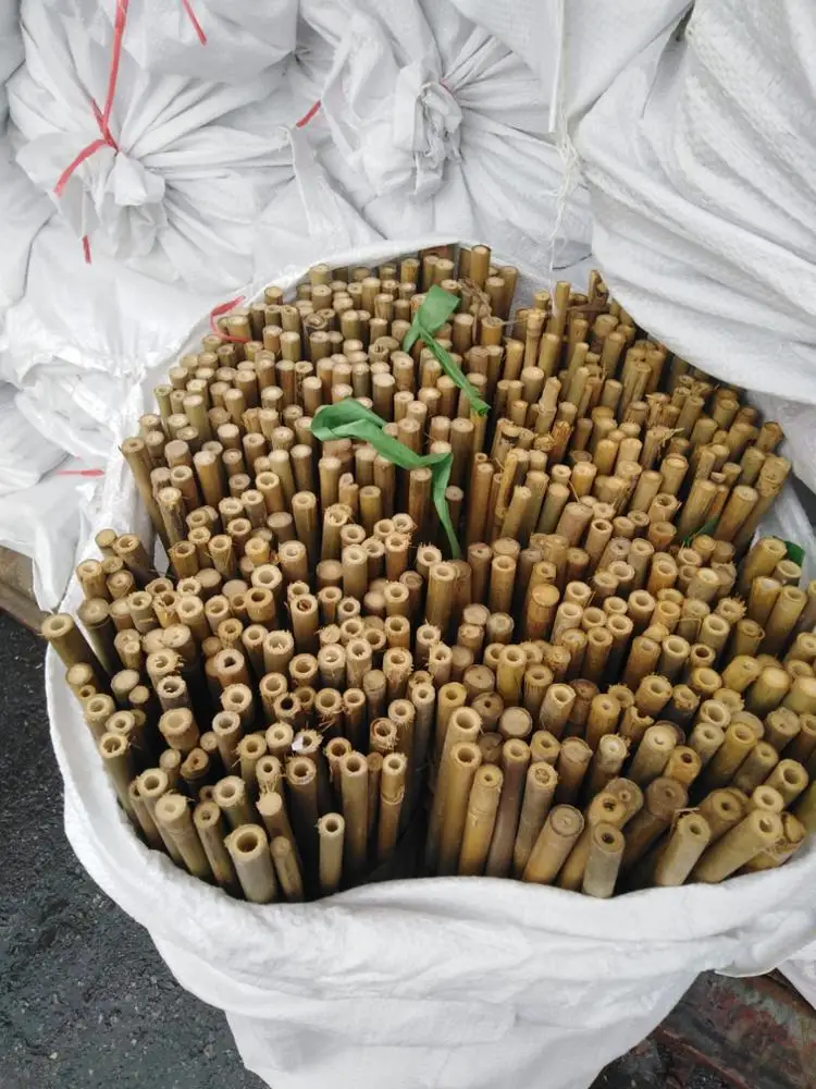 
BAMBOO POLES 75 CM FOR ORNAMENTAL PLANTS 