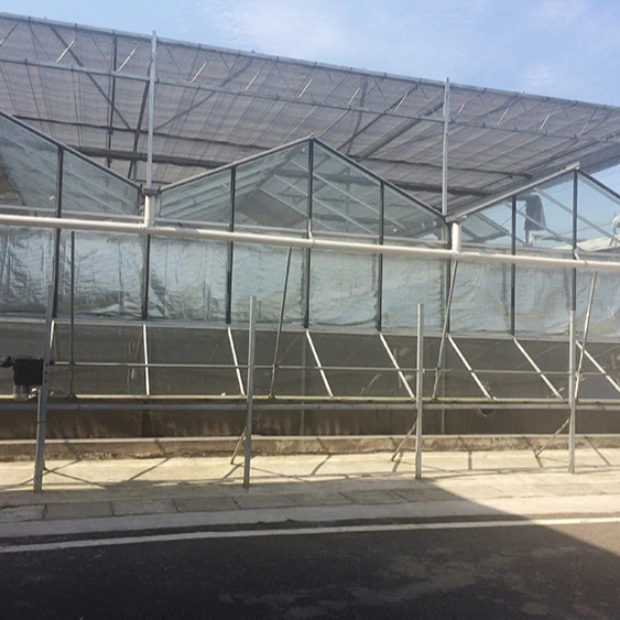Agricultural Venlo Glass Green house for commerical
