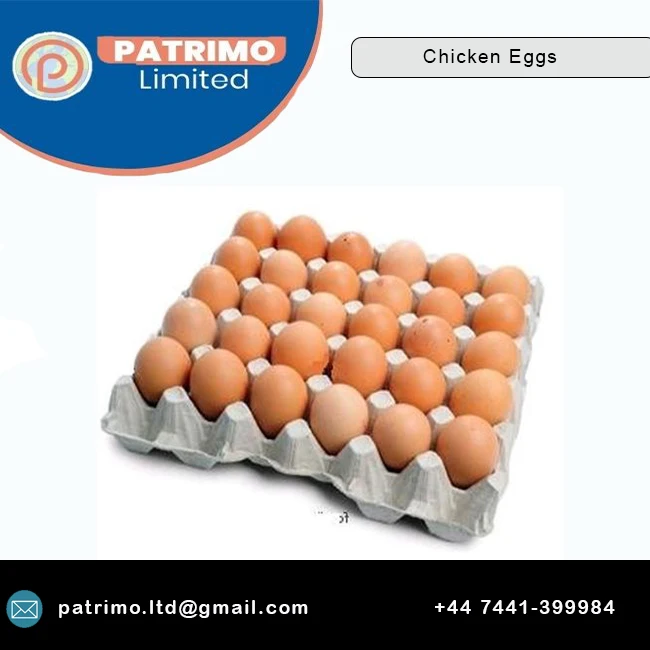 Top quality of Brown Table Chicken Eggs for Suitable price