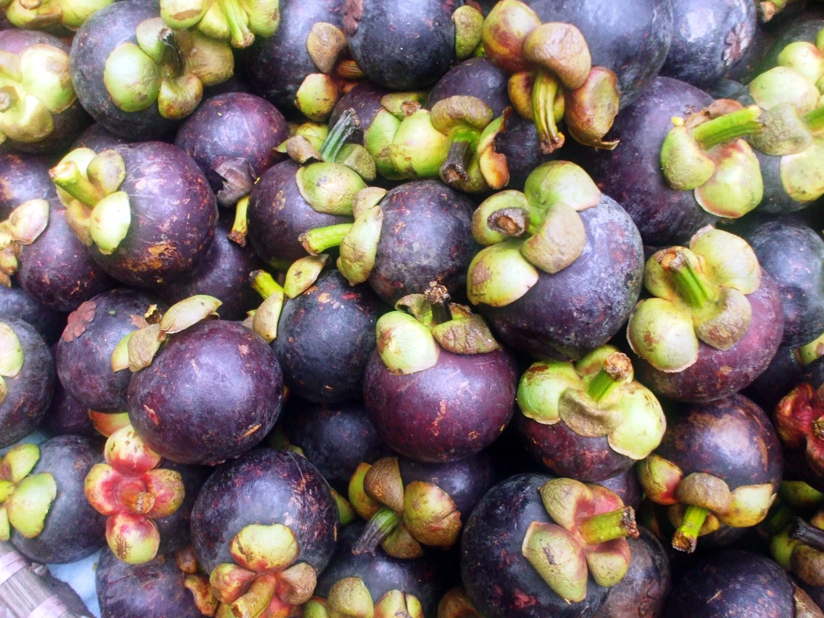 Mangosteen Fresh Fruit Best Seller From VIETNAM Mangosteen juice/ MS KATHY +84 896650714