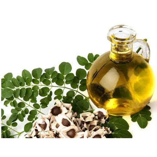 Hot Sell Best Price Moringa Oleifera Powder Moringa Leaves Powder seed powder moringa oil