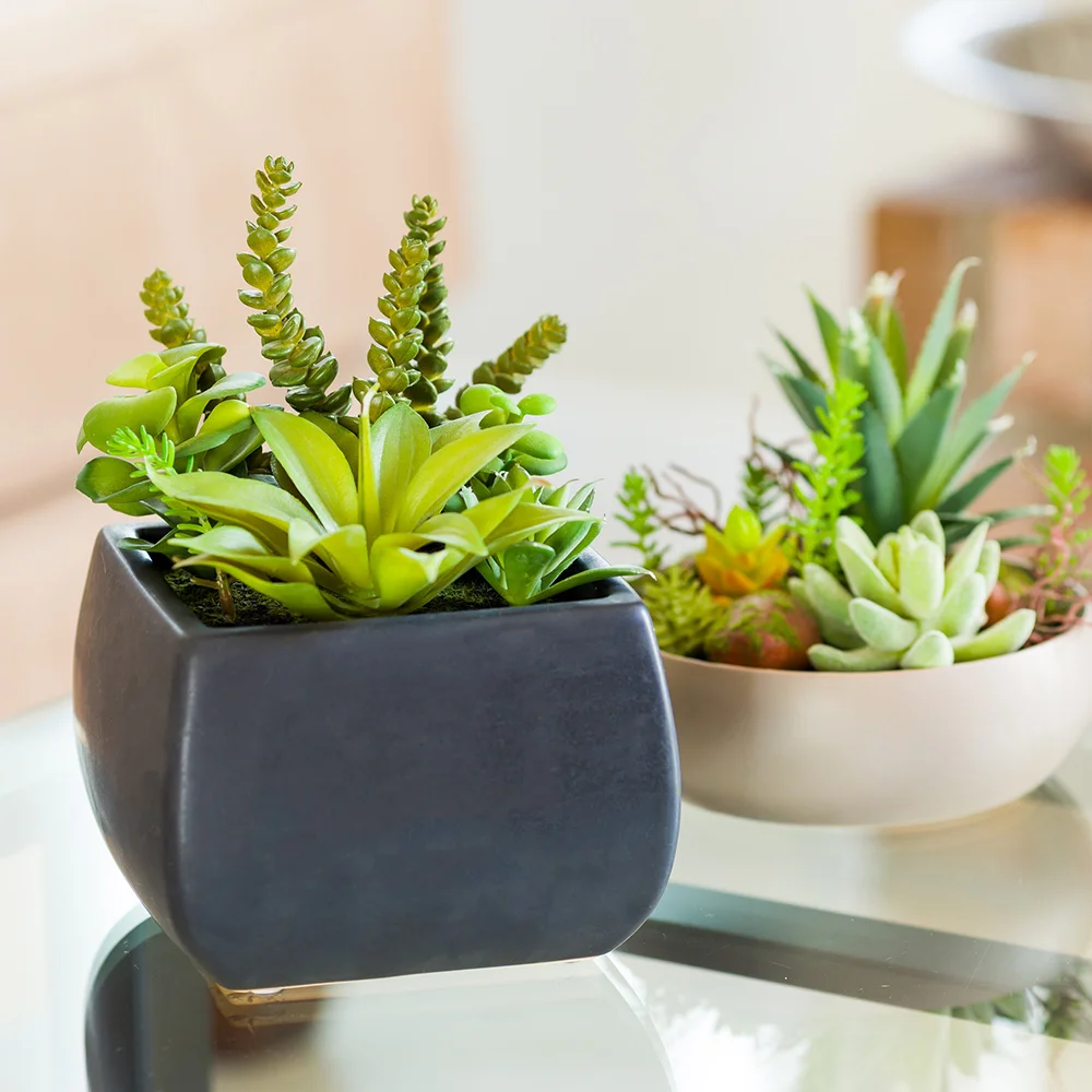
Plastic Table Art Faux Succulent Arrangement - Tetra Porcelain Planter, Black - 6