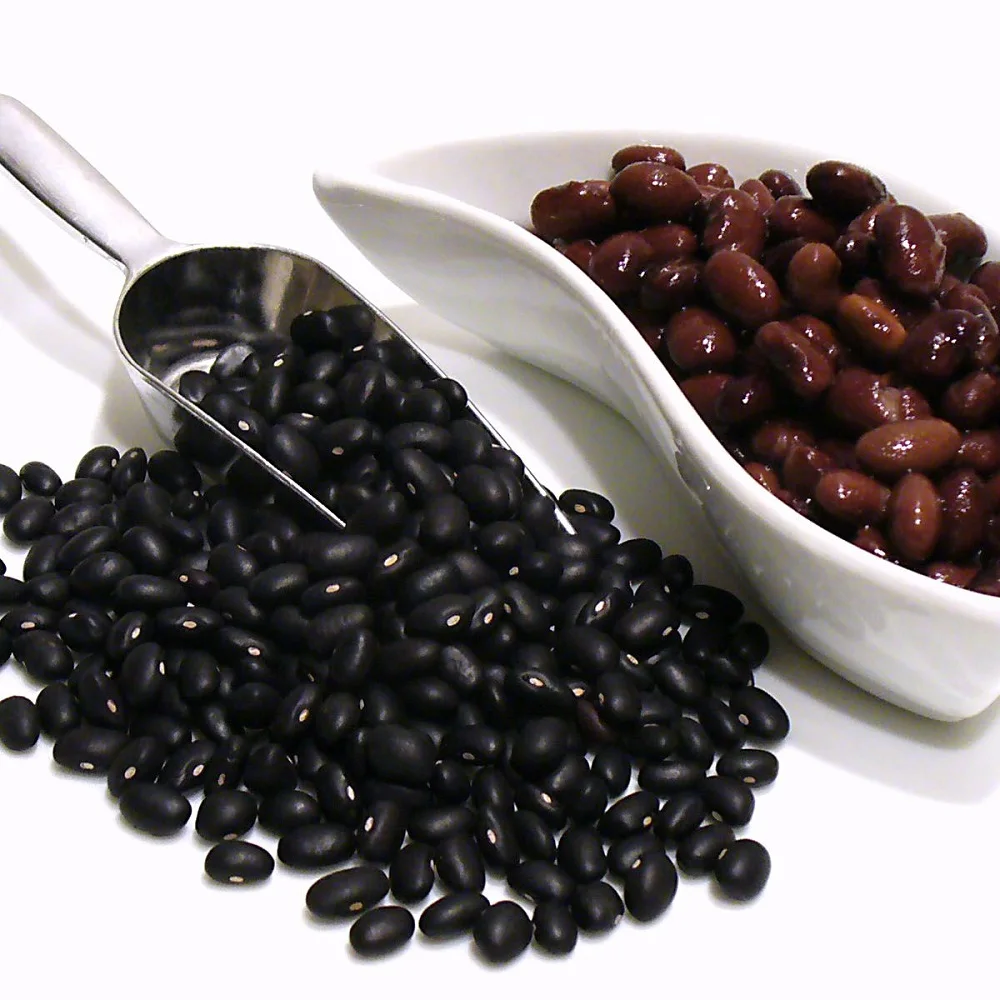 black kidney bean Beans in thailand with good price