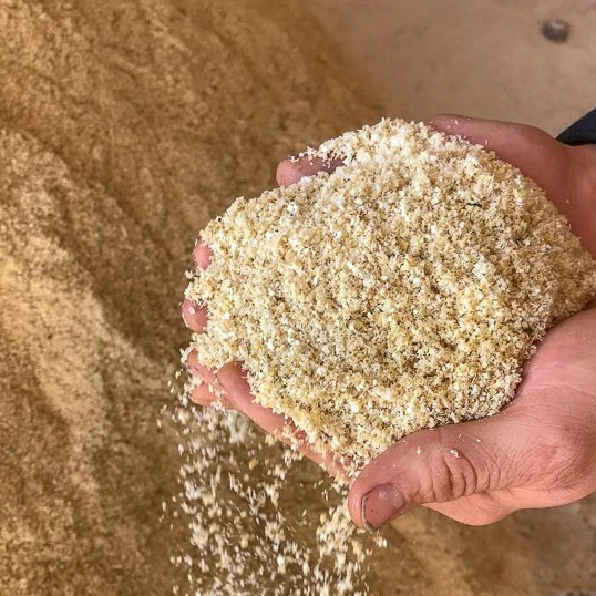 Indonesia Sawdust Natural for Charcoal Material