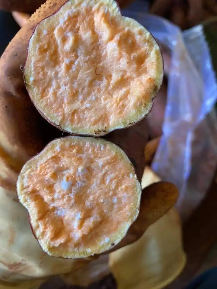 Пурпурный Порошок Сладкого Картофеля с высококачественной пурпурной мукой для сладкого картофеля желтый порошок 0084947900124