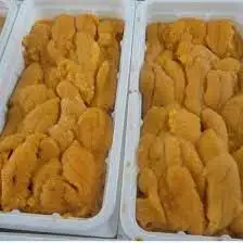 Sea Urchin From Peru