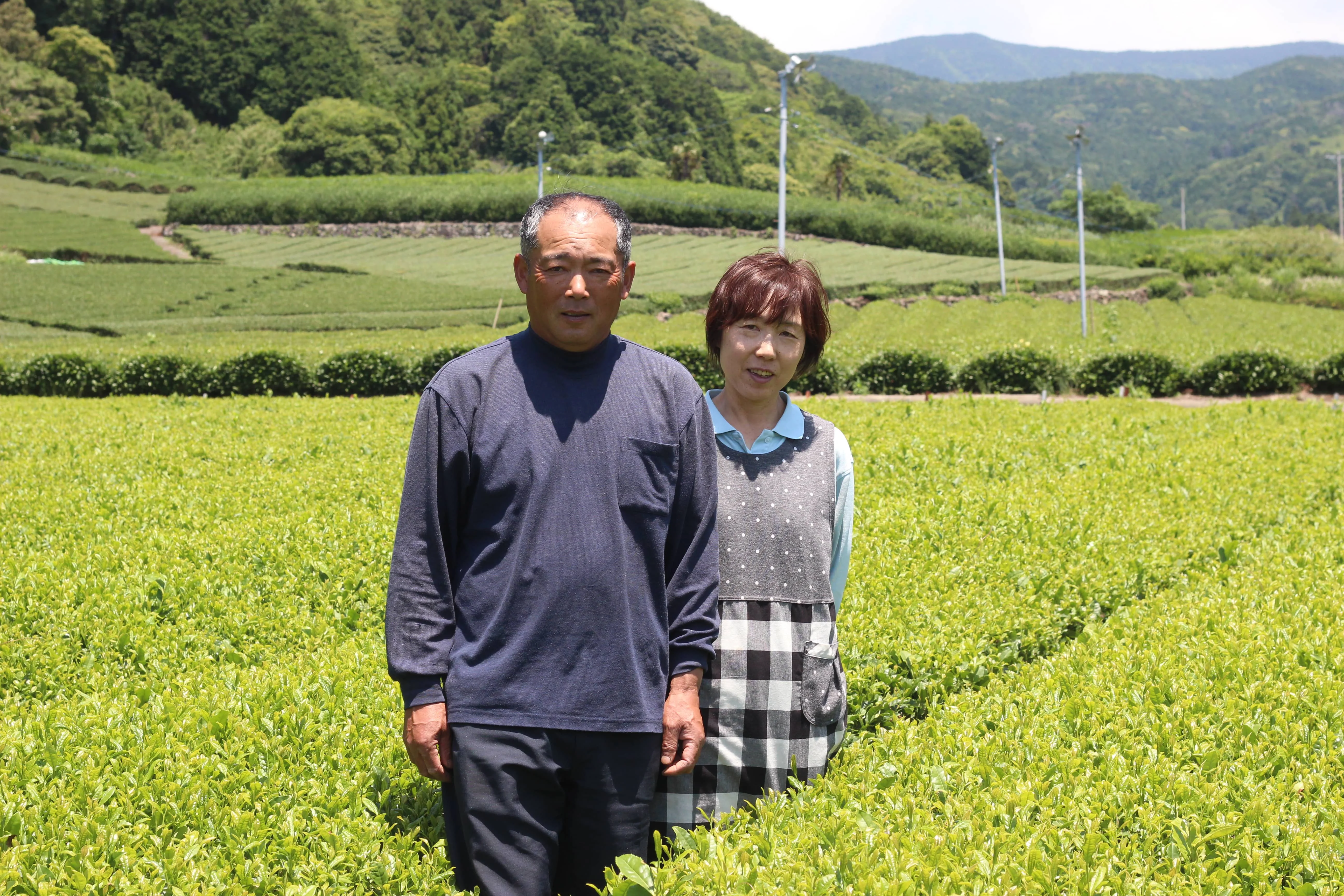 FUJI 1st, Handmade Traditional Organic Green Tea Matcha