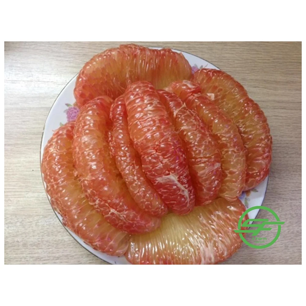 Высококачественный органический зеленый грейпфрут оптовый продавец Pomelo