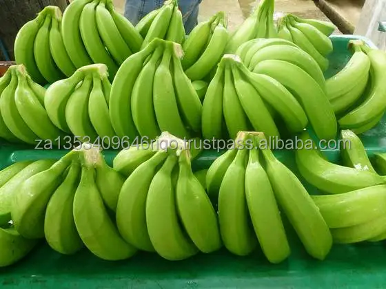 fresh-green-banana.jpeg