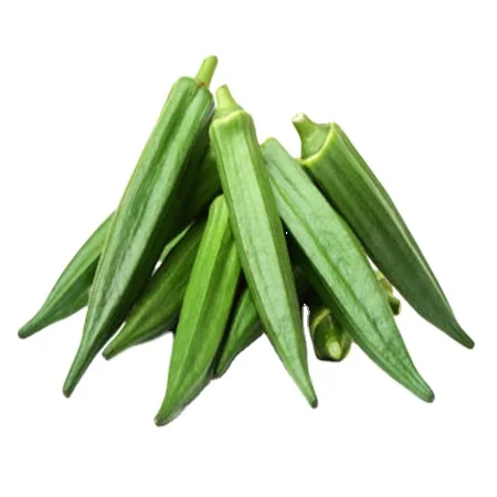 Качественный недорогой свежий зеленый Okra/Okro