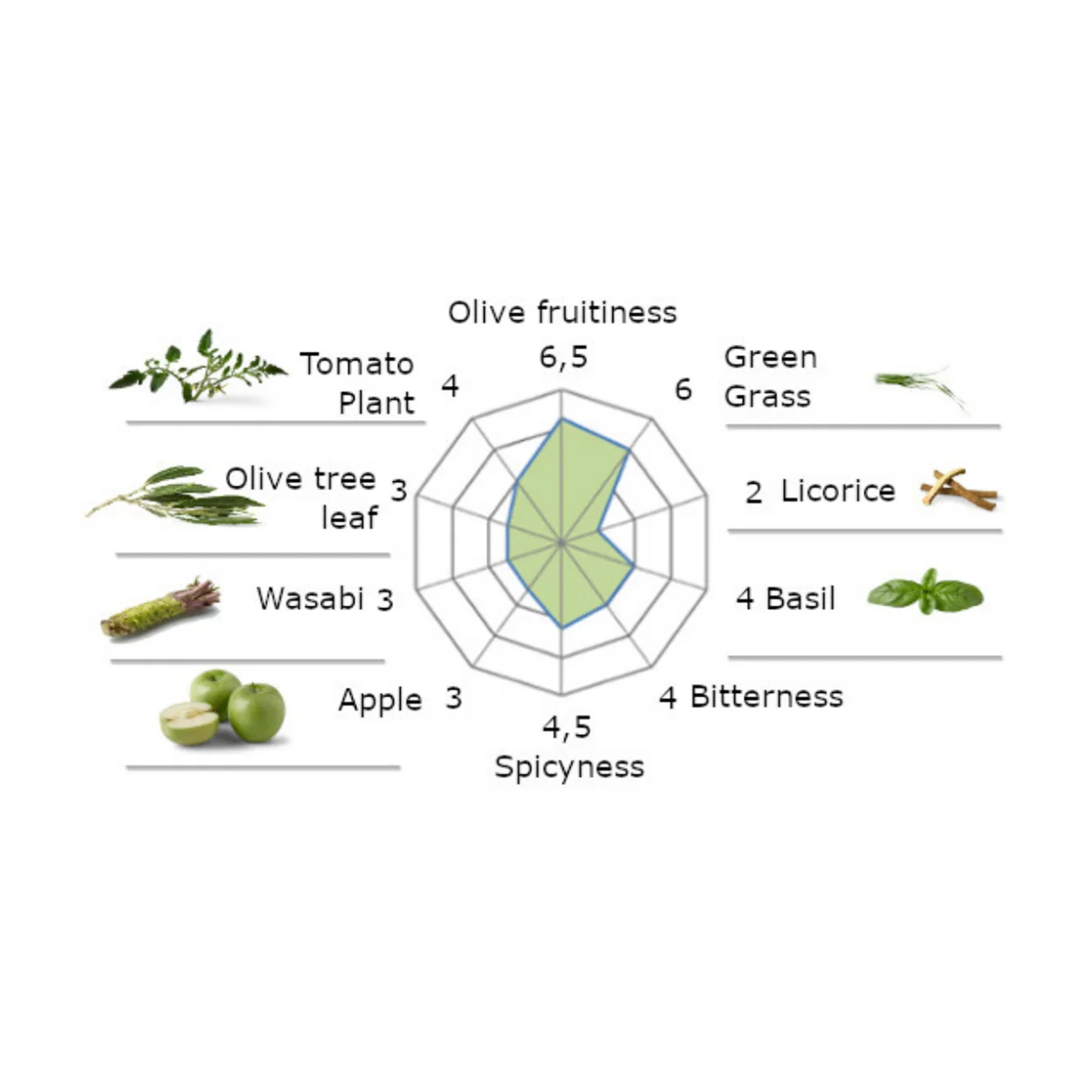 Spanish Extra Virgin Olive Oil   Premium   SENSATION   3L