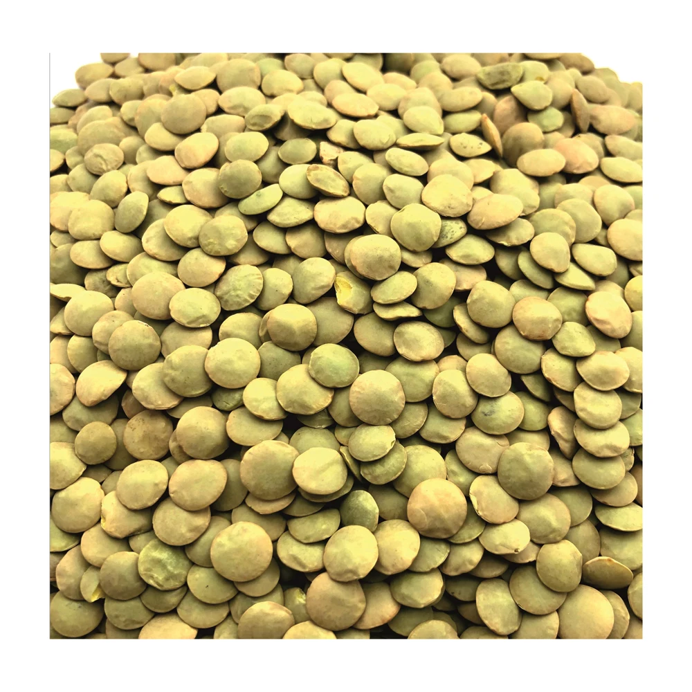 Great quality whole lentils big bag, from manufacturer