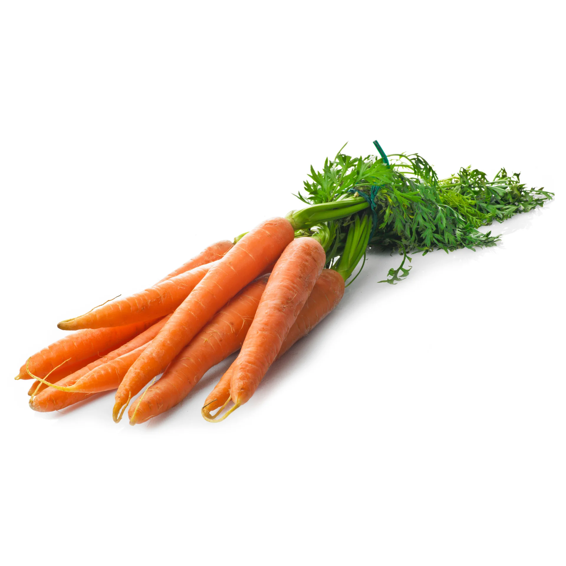 Свежая морковка высокого качества