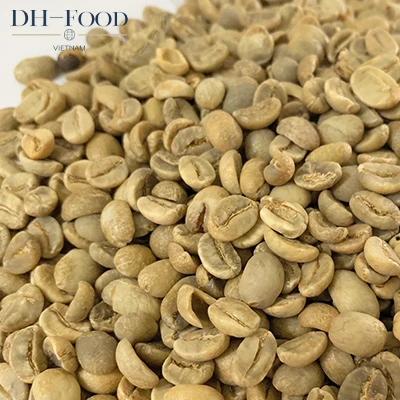 VIETNAM ROBUSTA COFFEE BEANS R1S16, R1S18 CLEANED, WASHED, WET POLISHED FROM DIRECT SUPPLY  FOR EXPORT HIGH QUALITY BEST PRICE