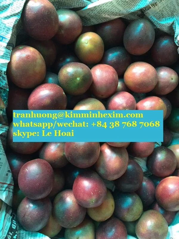 PASSION Fruit COMMON Fresh Passion Fruit Export with Cheap Price