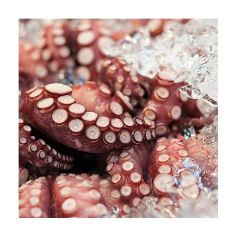 2022 Frozen Octopus / Frozen Seafood Octopus