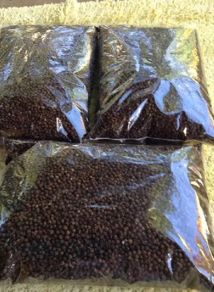 High Quality Ceylon Black pepper From Sri lanka
