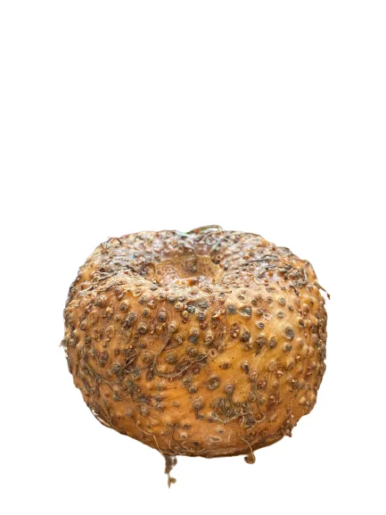 Сушеные чипсы PORANG/KONJAC PREMIUM