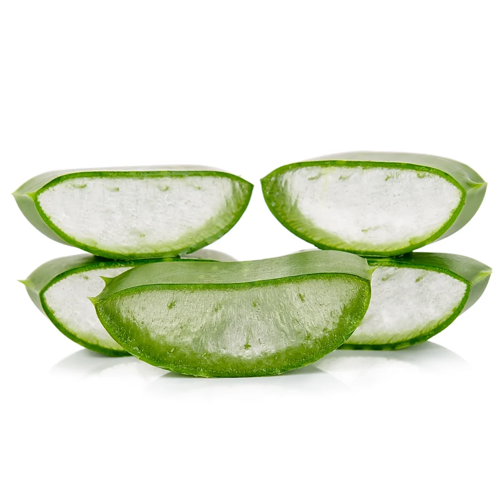 Aloe Vera Leaves Organic Certified | From Adult Plant Grown Open-Air in Sicily | Great Quality