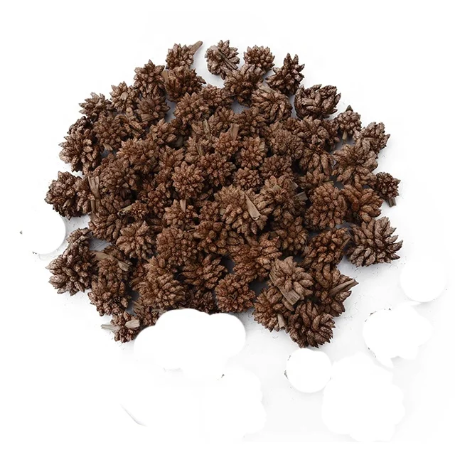 
potpourri Shell dried fruits 