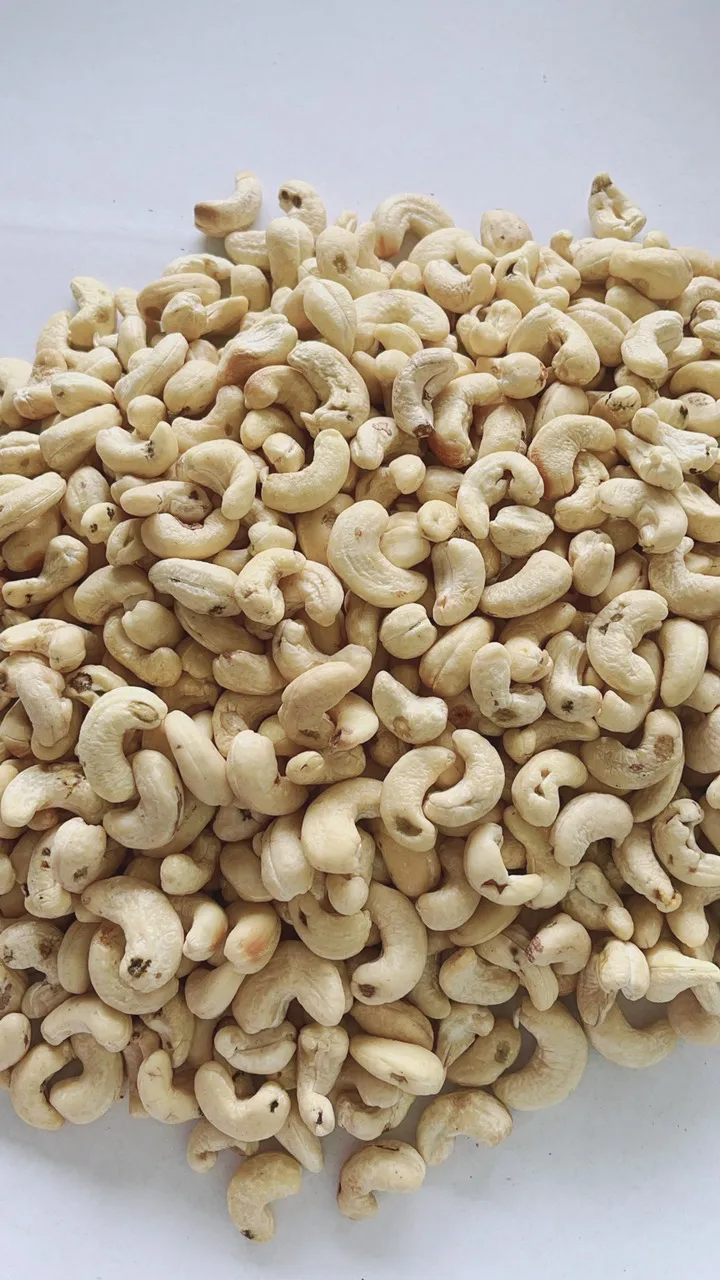 Vietnam Good Quality Cashew Nut Raw Bulk Cashews W240 Raw Cashew Nuts Prices Offered Dried Fruits Nuts