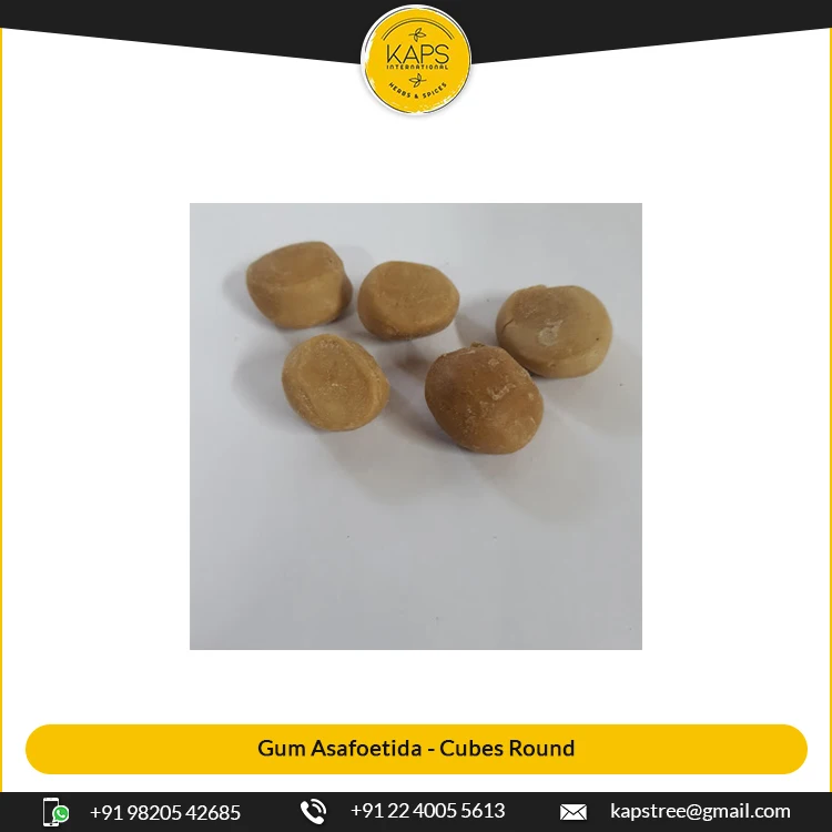 Крупные партии поставщик продажа круглых кубиков в форме Ferula Raw Asafoetida/спецзакупка по всему миру