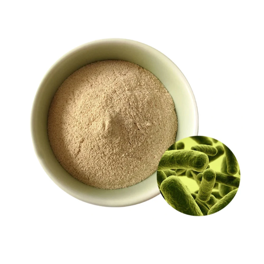 
Factory Wholesale Supply Lactobacillus Plantarum Probiotics - Zealmax Biopharma 