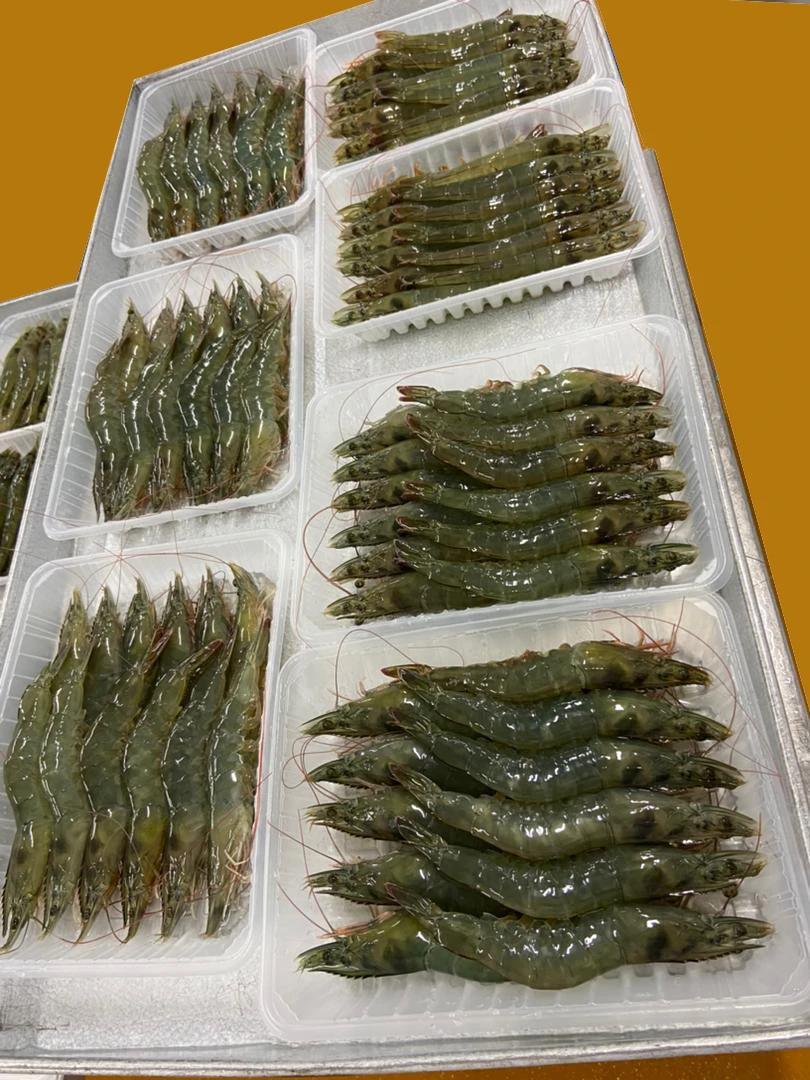  Замороженные изумрудные креветки премиум-класса 500 г производство Малайзии