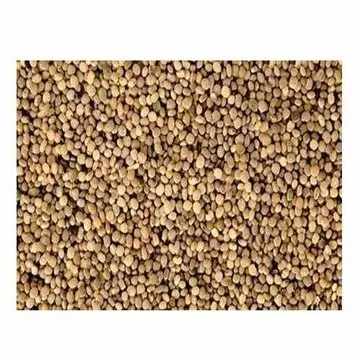 New crop Guar seed Whole Raw Guar seed High Quality Natural Guar seed