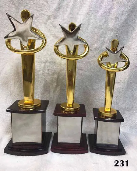 trophy  batsman  for cricket tournament school college