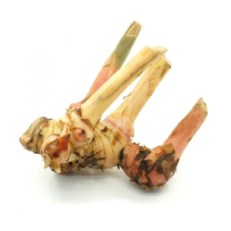 Dried Slice Galangal Roots High Quality Indonesia
