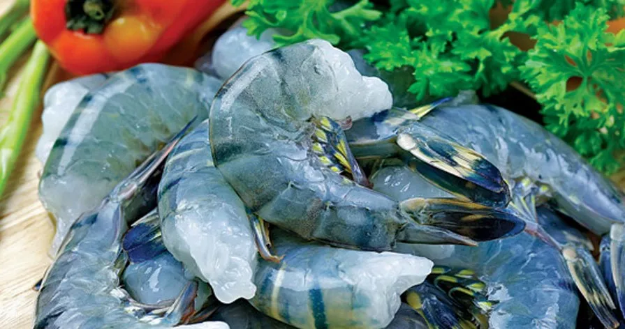 
Frozen Vannamei Shrimp High Quality From Vietnam 
