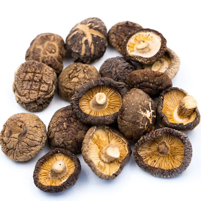 Wholesale Washed Nutritious Dried Mushroom Slices Dried Champignon
