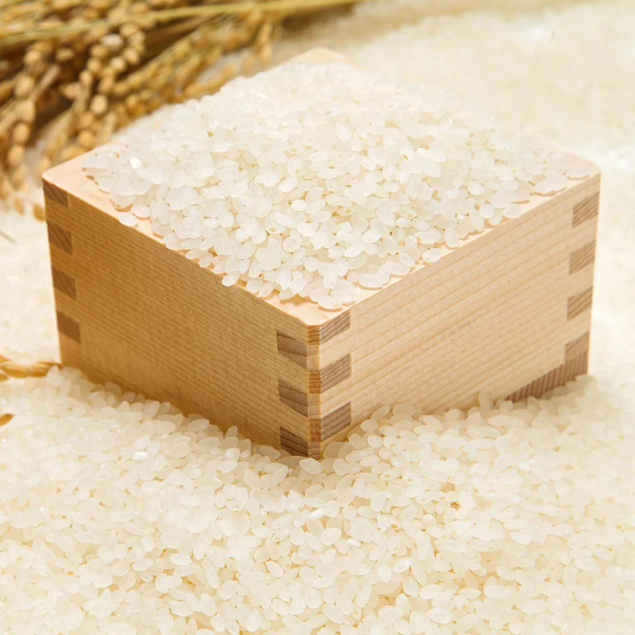 Best Selling Pigeon Brand Japanese Sushi Rice 5 Kg, used in Japanese Restaurants Exporter From Thailand