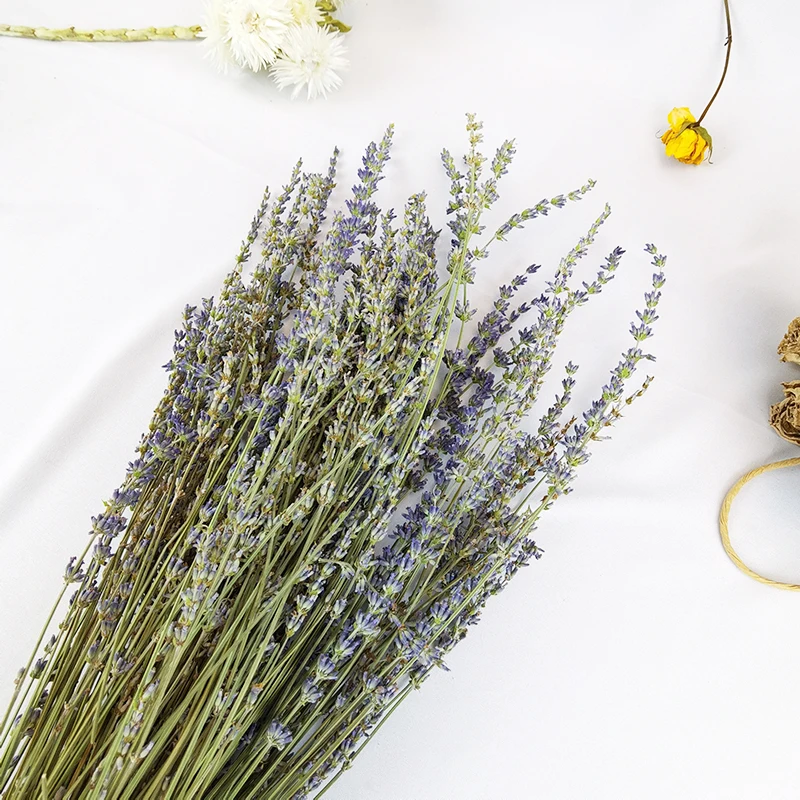 Wholesale High Quality 100g Per Pack Natural Dried Flowers Purple Lavender Bunches Dried Lavender