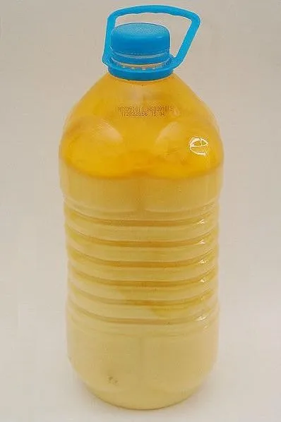 Pangasius Basa fish oil-низкая цена из