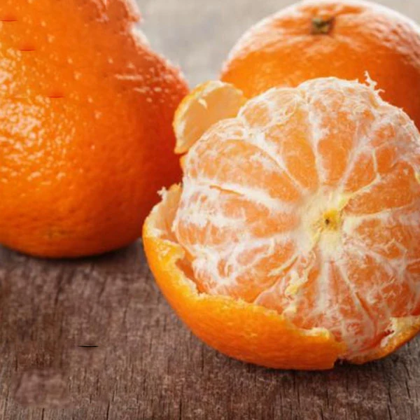 Small MOQ Chinese Fresh Mandarin Orange