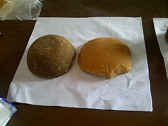 Кокосовая пальма из индонезии хорошая цена и