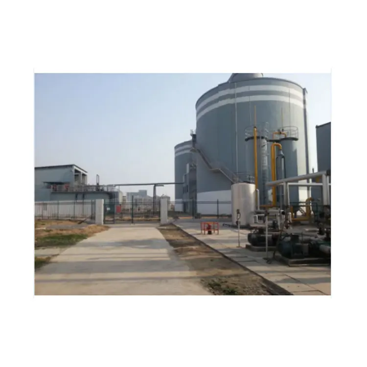 2*5, 000 Cubic Meters Nm3 Carbon Removal Biogas Upgrading/Decarburization/Purification System
