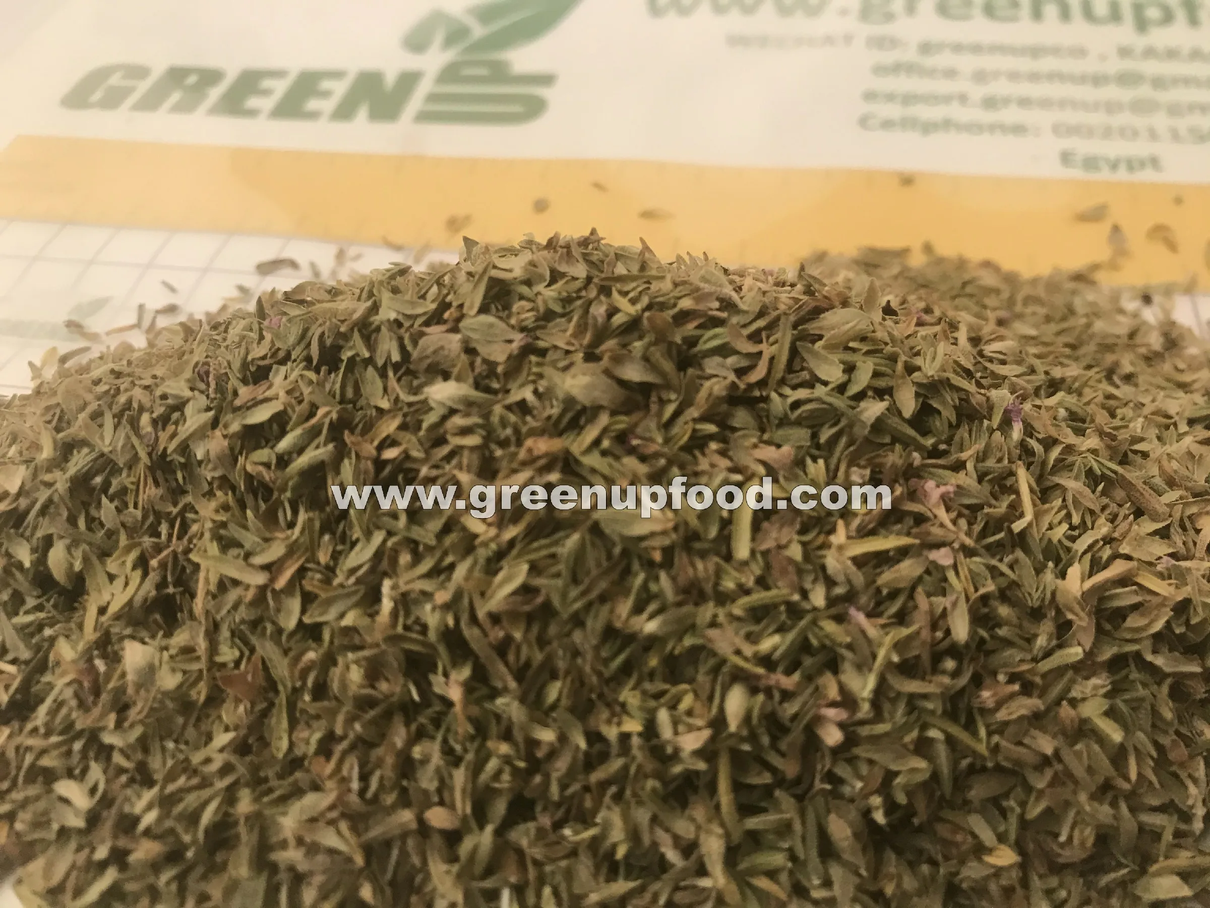 Листья орегано зеленого цвета без содержания золы без добавления ЧЕРНЫХ ЛИСТЬЕВ без примесей свежий урожай оригинальный обычный