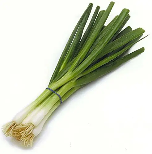 Зеленый лук