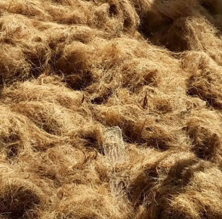 
Best Selling Natural Coconut Fibre With 100% From Coconut Coir For Mattress Production 