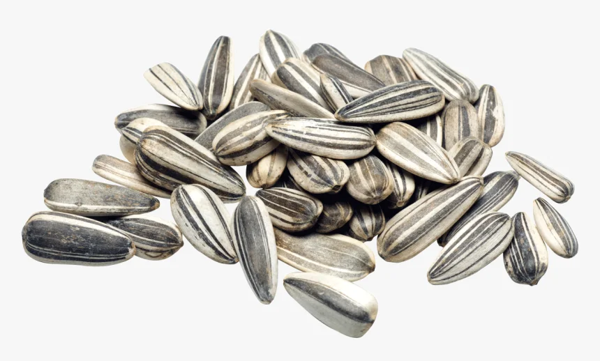 
Wholesale Sunflower Seeds Kernel / Peeled Sunflower Seeds 